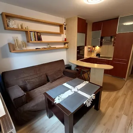 Apartament Przy Mlynie アパート *